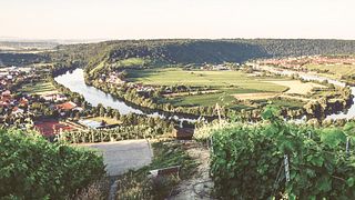 Lauffener Weingärtner