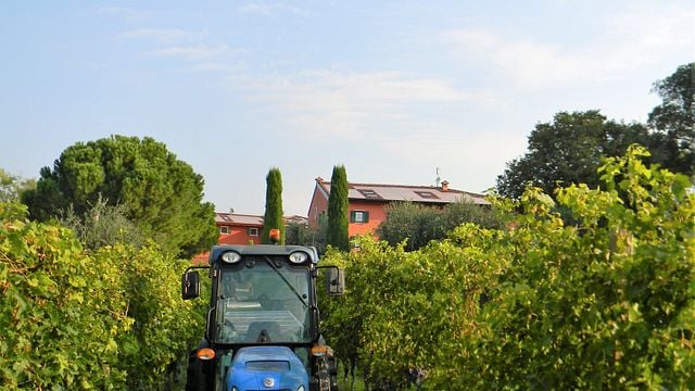 Le Tende Farm