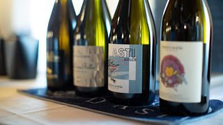Ricca degustazione di vini presso l'azienda vinicola Matteo Soria