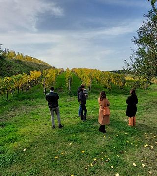 Expérience et dégustation de vin au vignoble familial Merumalia