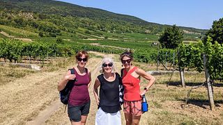 Tour estivo del vino nei boschi di Vienna (aprile-ottobre)
