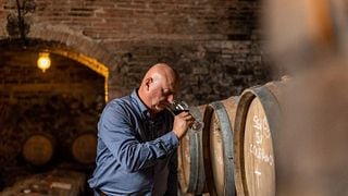 Dégustation de vins et visite à la Fattoria Poggio Capponi