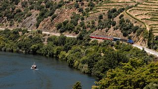 Descubra la experiencia del valle del Duero