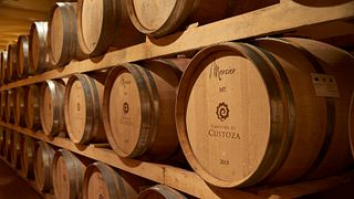 Cata de vinos y visita guiada a la Cantina di Custoza