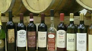 Tuscan Vineyard & Cellar Tour at La Roccaia