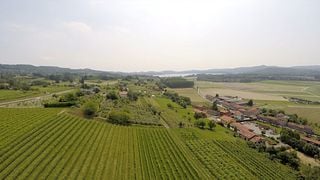 Dégustation de vins et visite à la Cantina della Serra