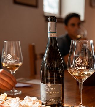 Dégustation de vins et visite chez Il Pignetto