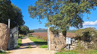 Signature Plus chez Tenute Gregu en Gallura