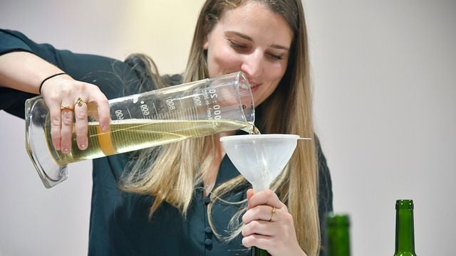 Taller de elaboración de vino en Domaine Plaimont