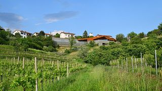 Edi Simčič Wine Estate