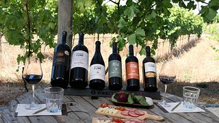Weinprobe und Tour im Quinta Do Cume