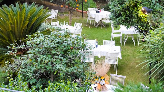 Visita a la bodega seguida de un almuerzo o cena en la finca | Azienda Agricola Innocenzo Turco