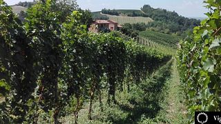 La Biòca Winery