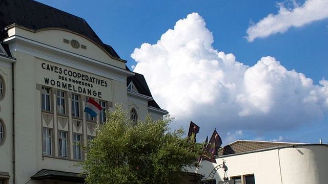 Degustazione di vini alla scoperta delle grotte Poll-Fabaire Wormeldange