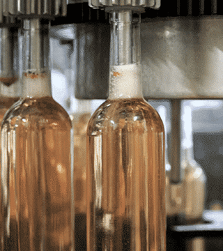 Degustazione di vini e visita a Figuière