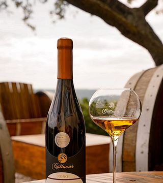Weinprobe und Führung im Weingut Cattunar