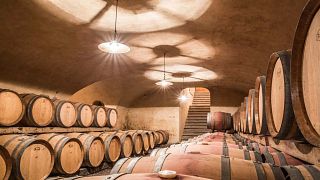 Carolina Jakoncic Winery