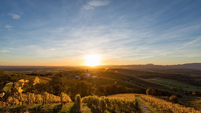 Beliebte Weinprobe und Tour bei Frešer