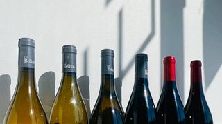 Degustação de vinhos e tour no Clos Bellane