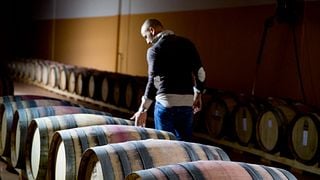 Abruzzo Wine & Vineyard Escape at Tenuta Masciangelo