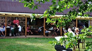 Dégustation de vins et dîner pizza | Domaine viticole Järiste