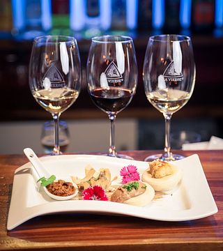 Cata de vinos y visita a La Vierge Wines