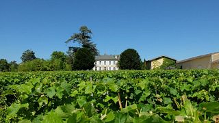 Degustazione di vini e visita allo Château Jouvente