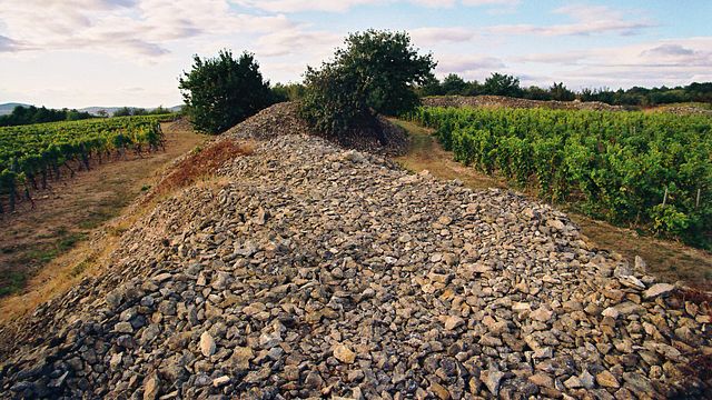  Recorrido privado y personalizado por el vino de Tokaj