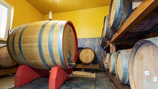 Experiência gastronômica e vinícola: tour de vinhos e almoço ou jantar com 4 pratos de produtos sazonais harmonizados com 7 vinhos.