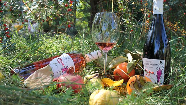 Vinprovning och rundtur på Madam Wine