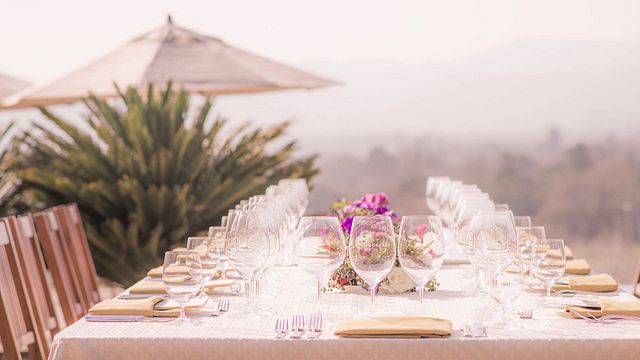 Cata de vinos y visita guiada a la finca Signorello