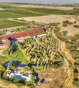 Pago Del Vicario Winery