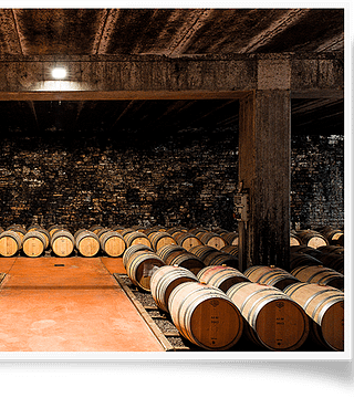 Marchesi Di Gresy