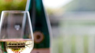 Cata de vinos en la bodega Erben von Beulwitz