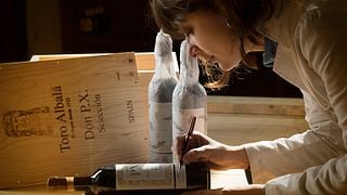 Archäologen-Route | Weinprobe und Tour bei Bodegas Toro Albalá