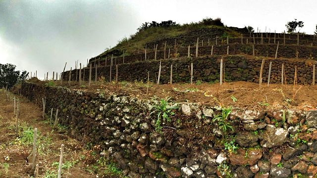 Verkostung von fünf Weinen mit Snacks im Weingut Biondi