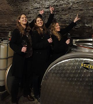 Tour de descubrimiento del vino en la bodega Emil Franz