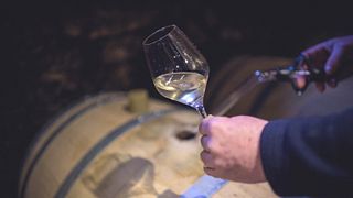 In Vino provsmakning & besök - Från tunnorna till flaskorna