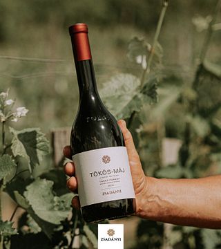 Wine Tasting Experience at Zsadányi Winery
