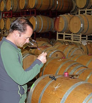 Weinprobe und Tour bei Darcie Kent Vineyards