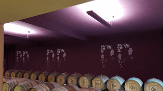 Degustação de vinhos e tour em Agricola Ladogana