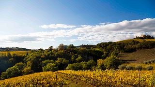 Cantina Villa Pigna