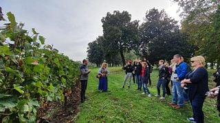 Smakupplevelse på Château Sainte Barbe