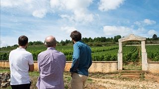 Au départ de Dijon : Journée complète pour découvrir la Bourgogne et déjeuner