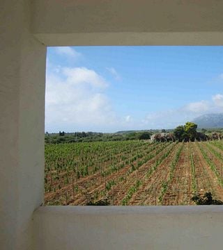 Tour de cata de vinos, arqueología y paisajes