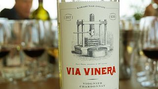 Dégustation de vins et visite de la Via Vinera