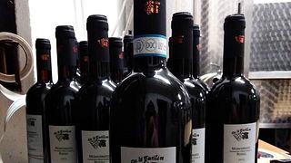 Dégustation de vins classiques et visite des vignobles biologiques de Ca 'D Tantin