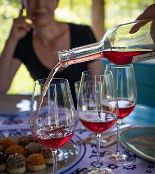 Cata de vinos y visita guiada en Oda Family Marani