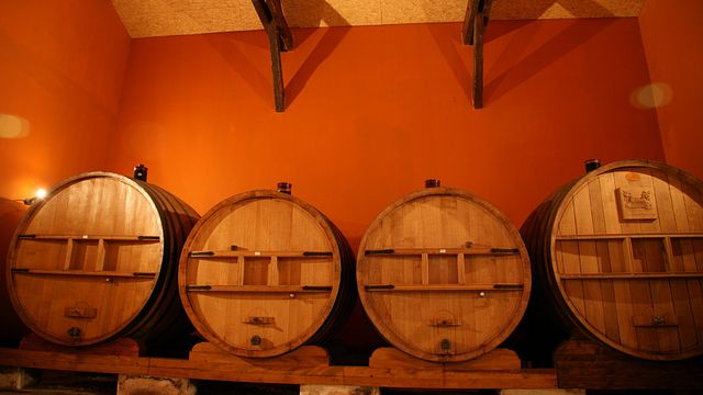 Degustazione di vini e visita al castello di Mauvanne