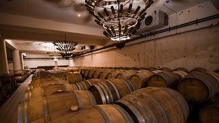 Wine Tour: The Lion of Nemea